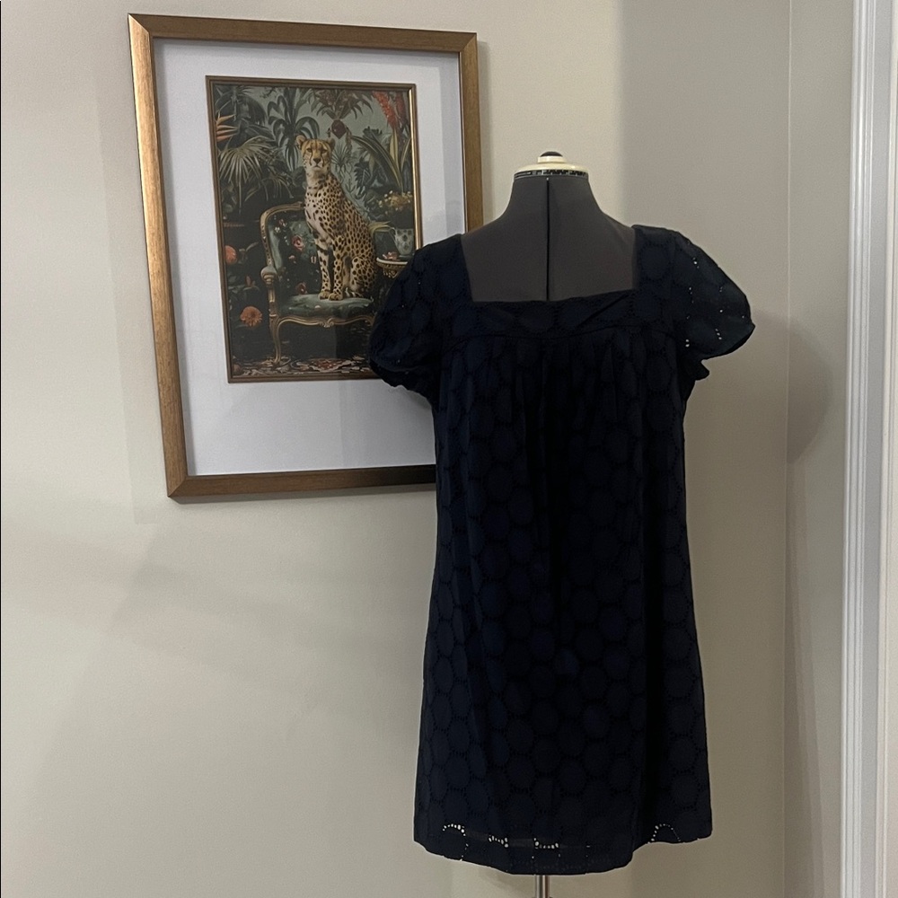 LOFT Navy Eyelet Mini Dress
